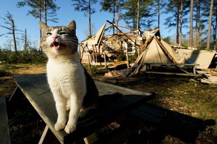 Ya son al menos 36 los muertos por tornados y temporales en Estados Unidos. Foto AP