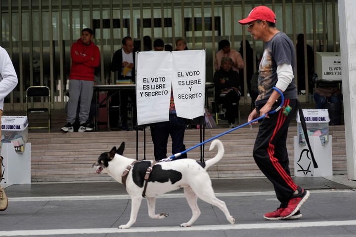 Un hombre pasea a su perro junto a los votantes que emiten su voto en las primeras elecciones judiciales de México, en la Ciudad de México. Foto AP