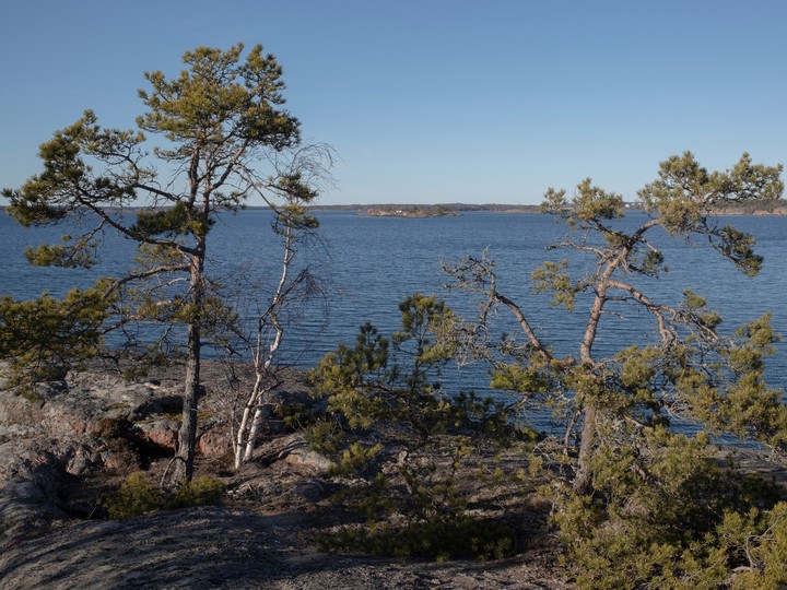 Elias Andersson dispara a un blanco con su arma impresa en 3D en las Islas Åland, Finlandia, marzo de 2025. Este remoto archipiélago ofrece un ejemplo de cómo la tecnología de armas de fuego, desarrollada en EE. UU., se difunde entre los aficionados. (Loulou d'Aki/The New York Times)
Elias Andersson en su taller con el diseño de un componente del rifle Printax que diseñó en las Islas Åland de Finlandia, marzo de 2025. Este remoto archipiélago ofrece un ejemplo de cómo la tecnología de armas de fuego, desarrollada en EE. UU., se difunde entre los aficionados. (Loulou d'Aki/The New York Times)
Una de las cabañas de la familia de Elias Andersson en las Islas Åland, Finlandia, marzo de 2025. Este remoto archipiélago ofrece un ejemplo de cómo la tecnología de armas de fuego, desarrollada en Estados Unidos, se difunde entre los aficionados. (Loulou d'Aki/The New York Times)
Vista desde una isla en las Islas Åland de Finlandia, marzo de 2025. Este remoto archipiélago ofrece un ejemplo de cómo la tecnología de armas de fuego, desarrollada en Estados Unidos, se difunde entre los aficionados. (Loulou d'Aki/The New York Times)