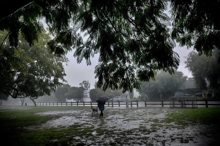 Un paseador de perros solitario desafía la lluvia torrencial en el barrio de Encino, Los Ángeles. Foto AP