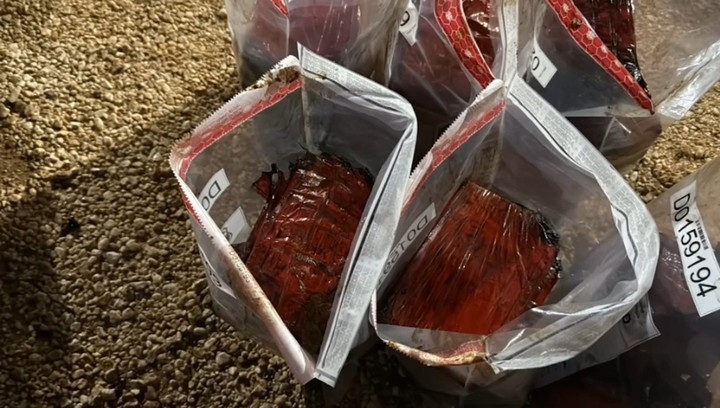 La agencia antidroga dominicana ha publicado un vídeo en el que se muestra la cocaína recuperada de los restos del naufragio tras el ataque del ejército estadounidense a una lancha rápida que se acercaba a la costa sur de la República Dominicana el mes pasado, en el que murieron tres personas que viajaban a bordo.